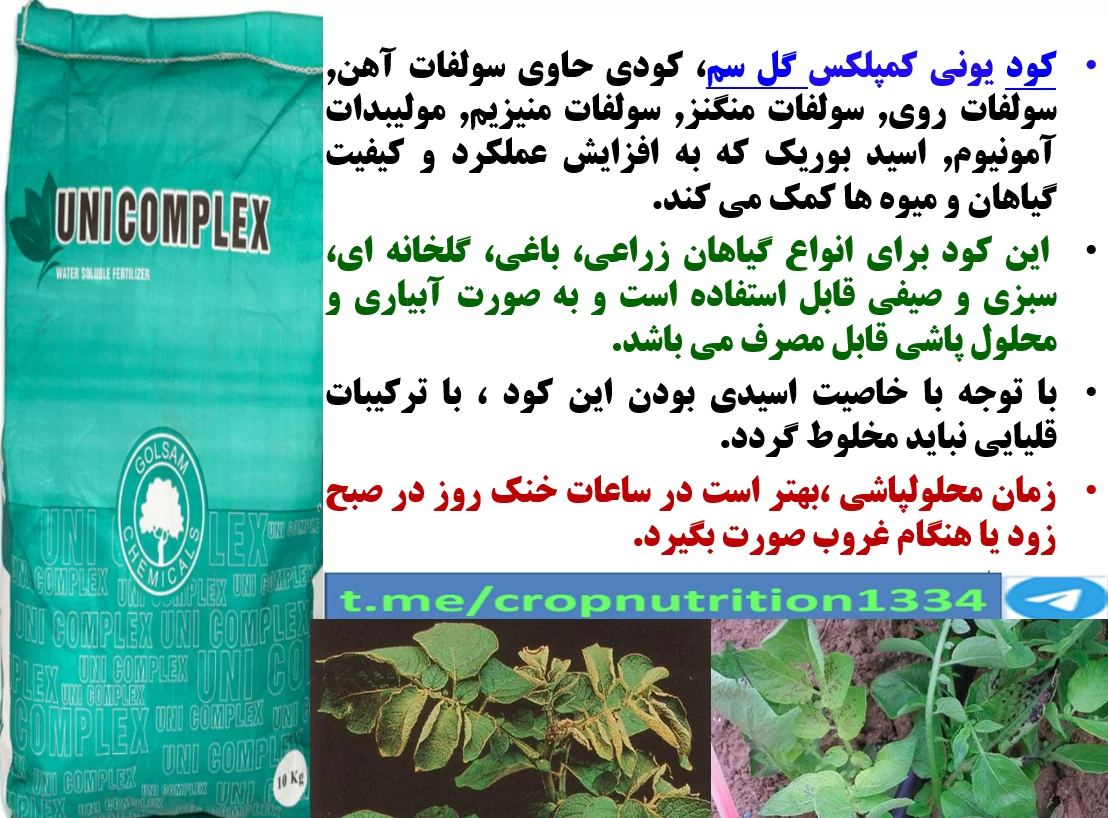 تاثیر کود یونی کمپلکس گل سم در افزایش تولید و کیفیت غده سیب زمینی – قسمت سوم