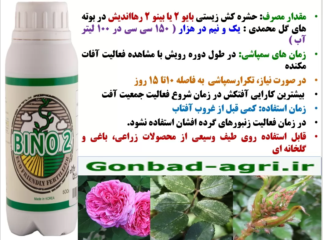 کنترل آفات بوته های گل محمدی با سم ارگانیک بایو۲ رهااندیش – قسمت دوم