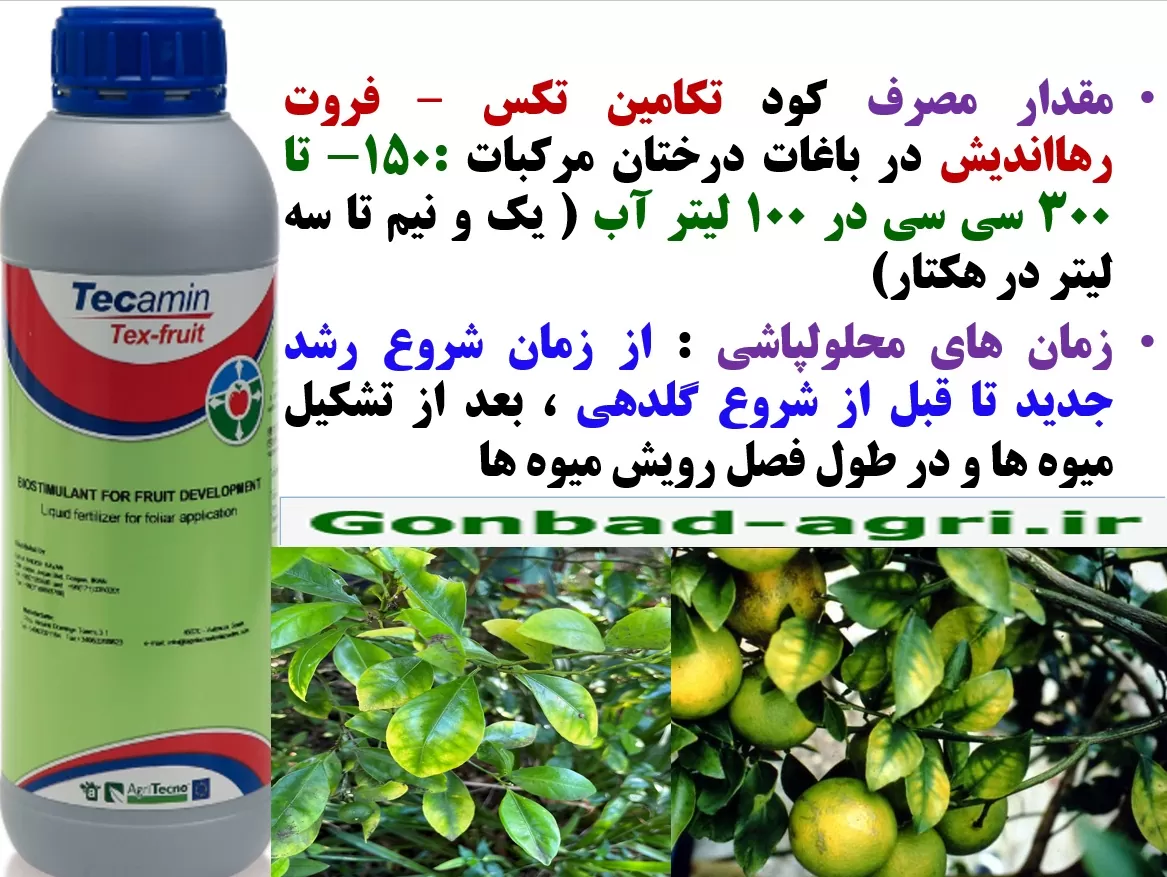 افزایش تولید میوه و کیفیت آن در درختان مرکبات با کود تکامین تکس فروت رهااندیش – قسمت دوم