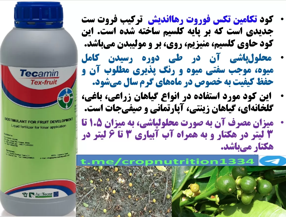 افزایش تولید میوه و کیفیت آن در درختان مرکبات با کود تکامین تکس فروت رهااندیش – قسمت سوم
