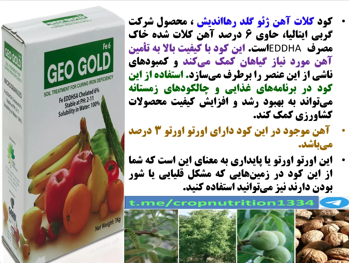 رفع سریع حالت کلروز در درختان گردو با کود آهن ژئوگلد رهااندیش – قسمت سوم