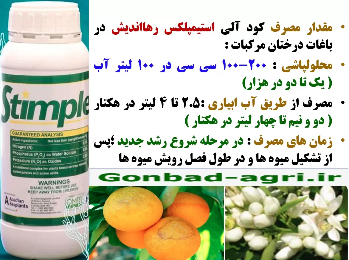 افزایش توان میوه دهی درختان مرکبات با کود الی استیمپلکس رهااندیش – قسمت دوم