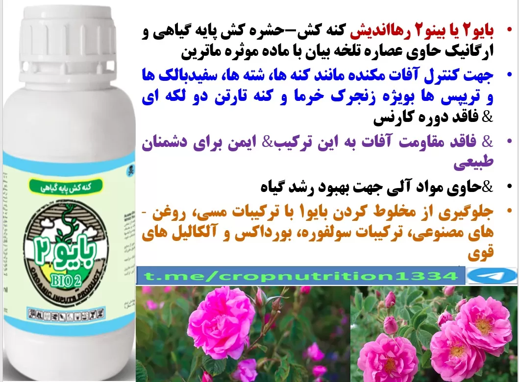 کنترل آفات بوته های گل محمدی با سم ارگانیک بایو۲ رهااندیش – قسمت سوم