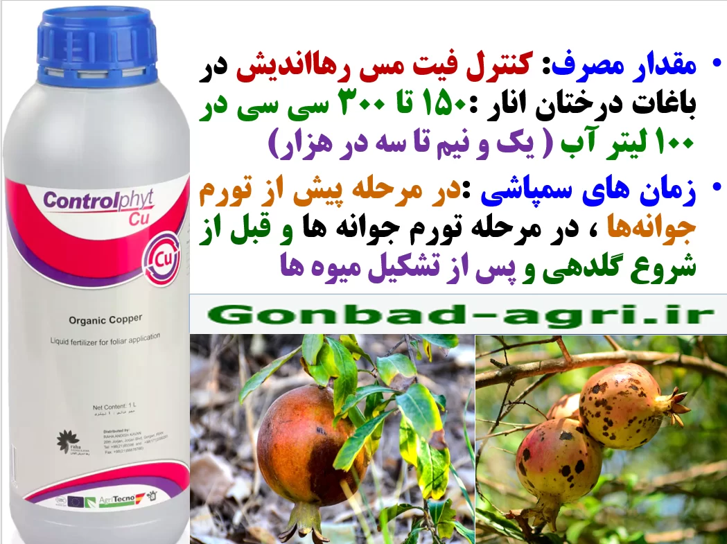 کود کنترل فیت مس رهااندیش برای کنترل بیماری های درختان انار- قسمت دوم