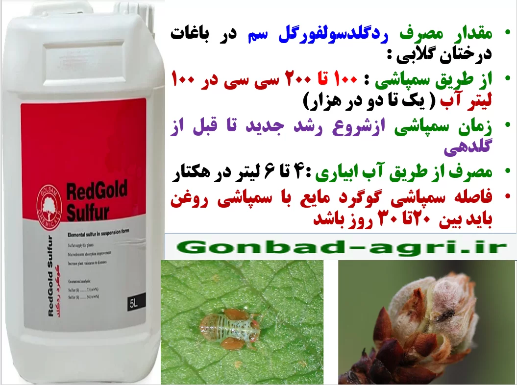 کنترل آفات و بیماری های درختان گلابی با ردگلد سولفور گل سم – قسمت دوم