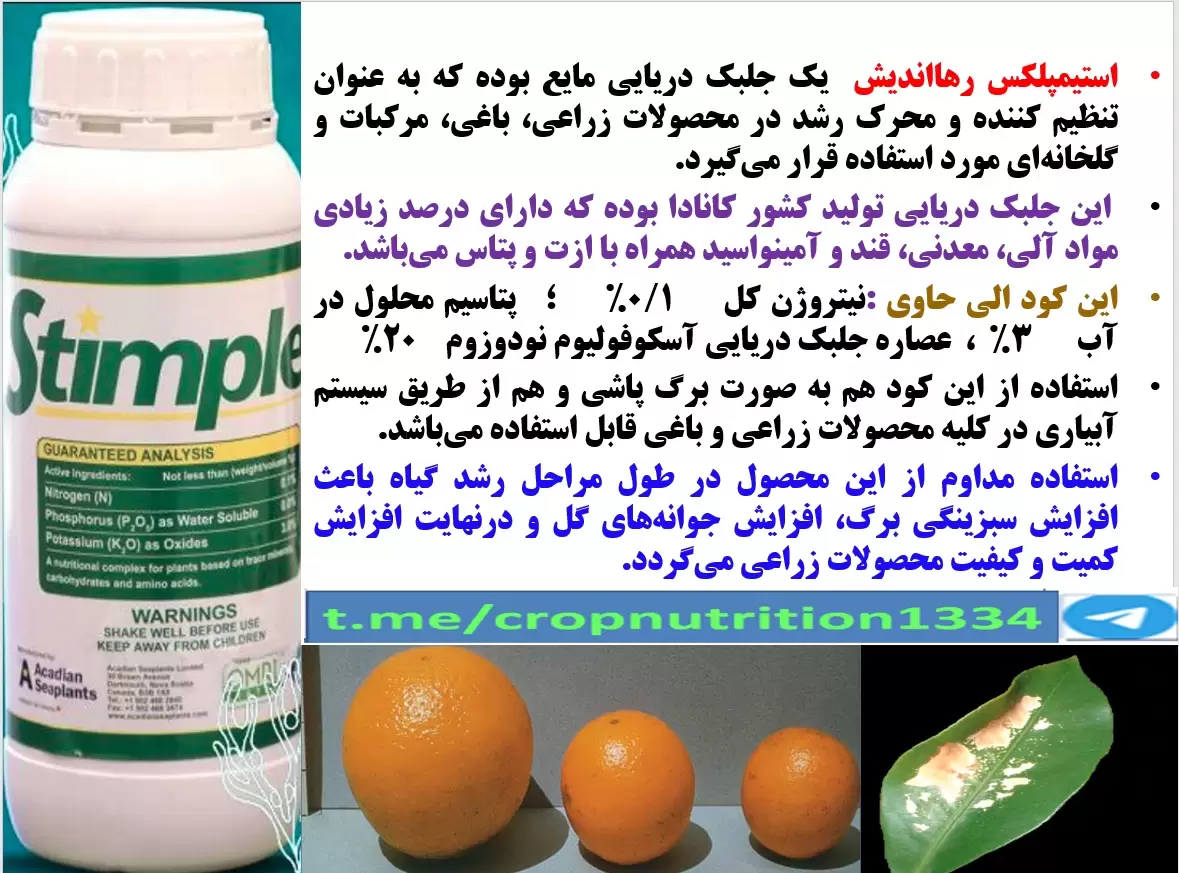 افزایش توان میوه دهی درختان مرکبات با کود الی استیمپلکس رهااندیش – قسمت سوم