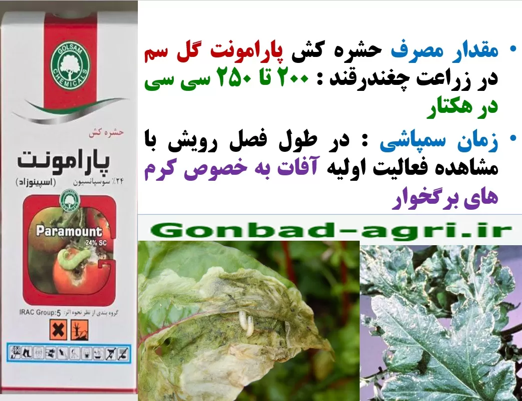 کنترل آفات چغندرقند با حشره کش پارامونت گل سم – قسمت دوم