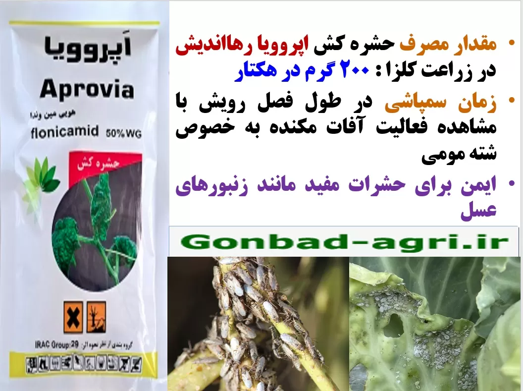 کنترل آفات مکنده زراعت کلزا با حشره کش اپروویا رهااندیش- قسمت دوم