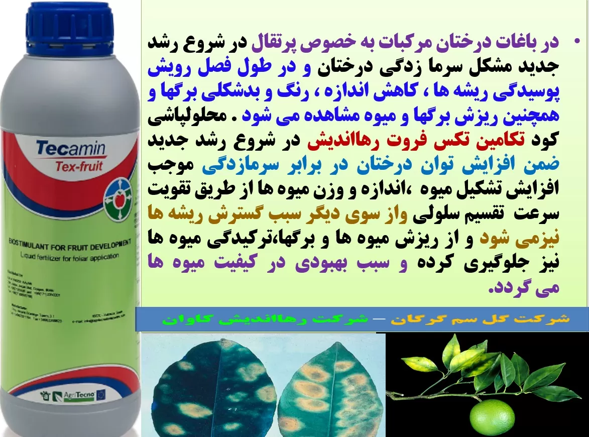 افزایش تولید میوه و کیفیت آن در درختان مرکبات با کود تکامین تکس فروت رهااندیش  – قسمت اول