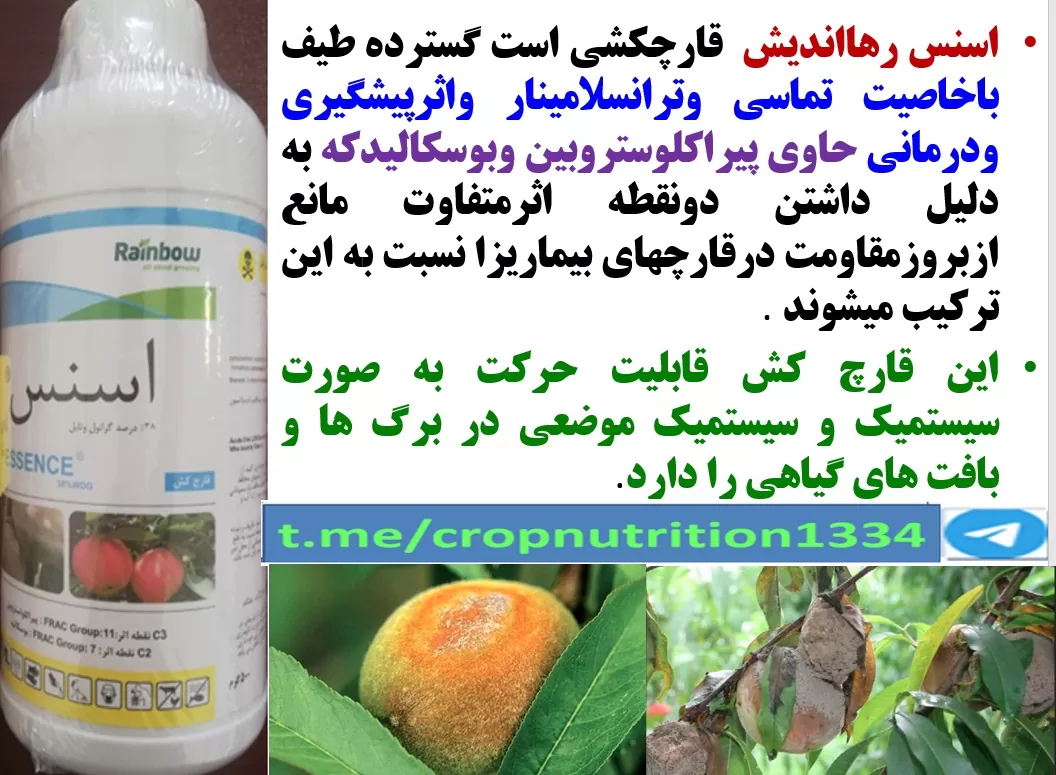 کنترل بیماری های درختان هلو و شلیل با قارچکش اسنس رهااندیش – قسمت سوم