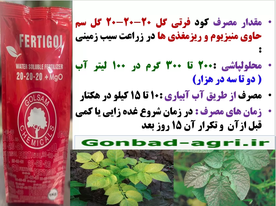 کود فرتی گل ۲۰-۲۰-۲۰ گل سم برای افزایش توان بوته های سیب زمینی – قسمت دوم