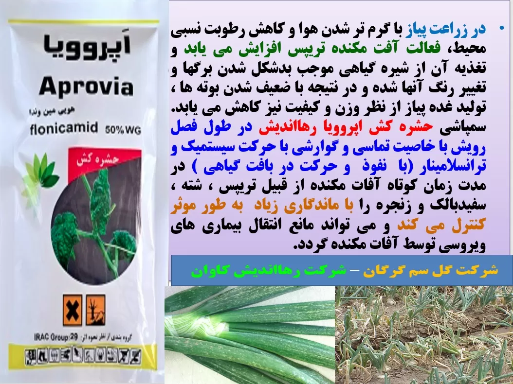 کنترل آفات مکنده پیاز با حشره کش اپروویا رهااندیش – قسمت اول