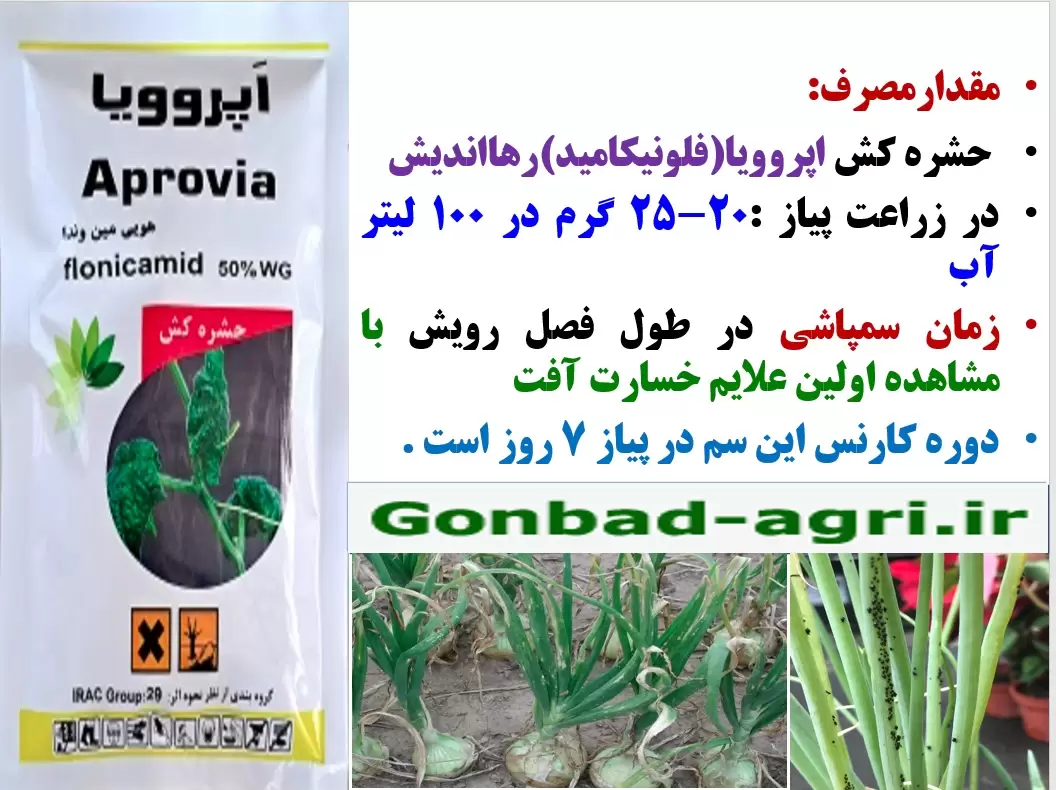 کنترل آفات مکنده پیاز با حشره کش اپروویا رهااندیش – قسمت دوم