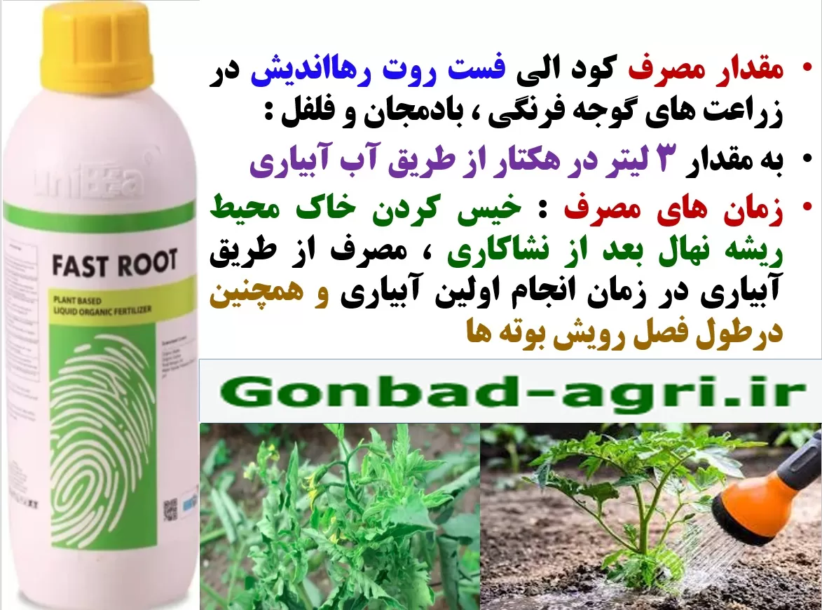 رفع سریع اثرات شوک نشاکاری در صیفی جات باکود فست روت رهااندیش – قسمت دوم