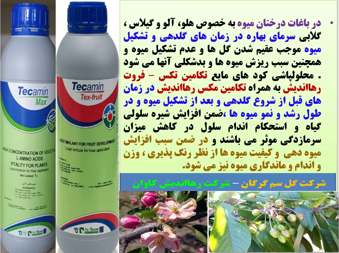 کاهش موثر سرمازدگی در درختان میوه با تکامین مکس و تکامین تکس – فروت رهااندیش – قسمت اول