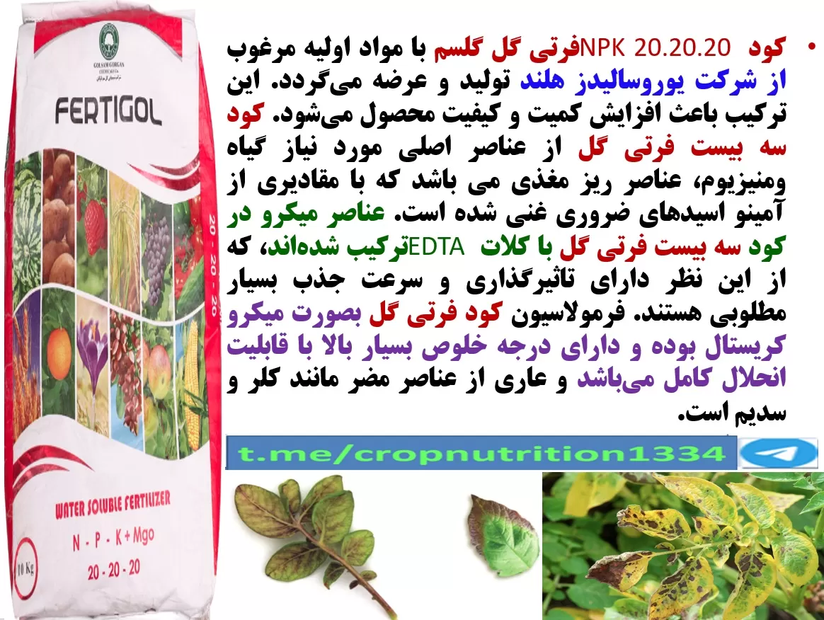 کود فرتی گل ۲۰-۲۰-۲۰ گل سم برای افزایش توان بوته های سیب زمینی – قسمت سوم
