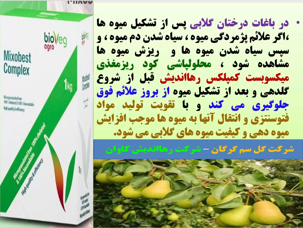 کود ریزمغذی میکسوبست کمپلکس رهااندیش برای تقویت میوه دهی درختان گلابی – قسمت اول
