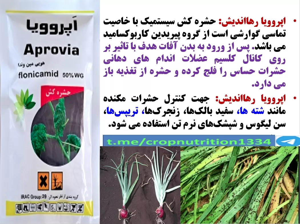کنترل آفات مکنده پیاز با حشره کش اپروویا رهااندیش – قسمت سوم