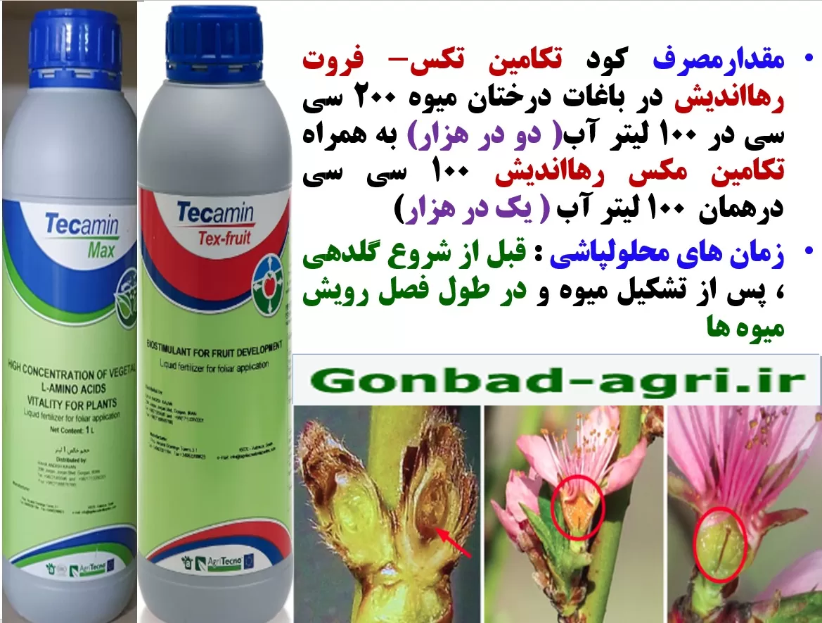 کاهش موثر سرمازدگی در درختان میوه با تکامین مکس و تکامین تکس – فروت رهااندیش – قسمت دوم