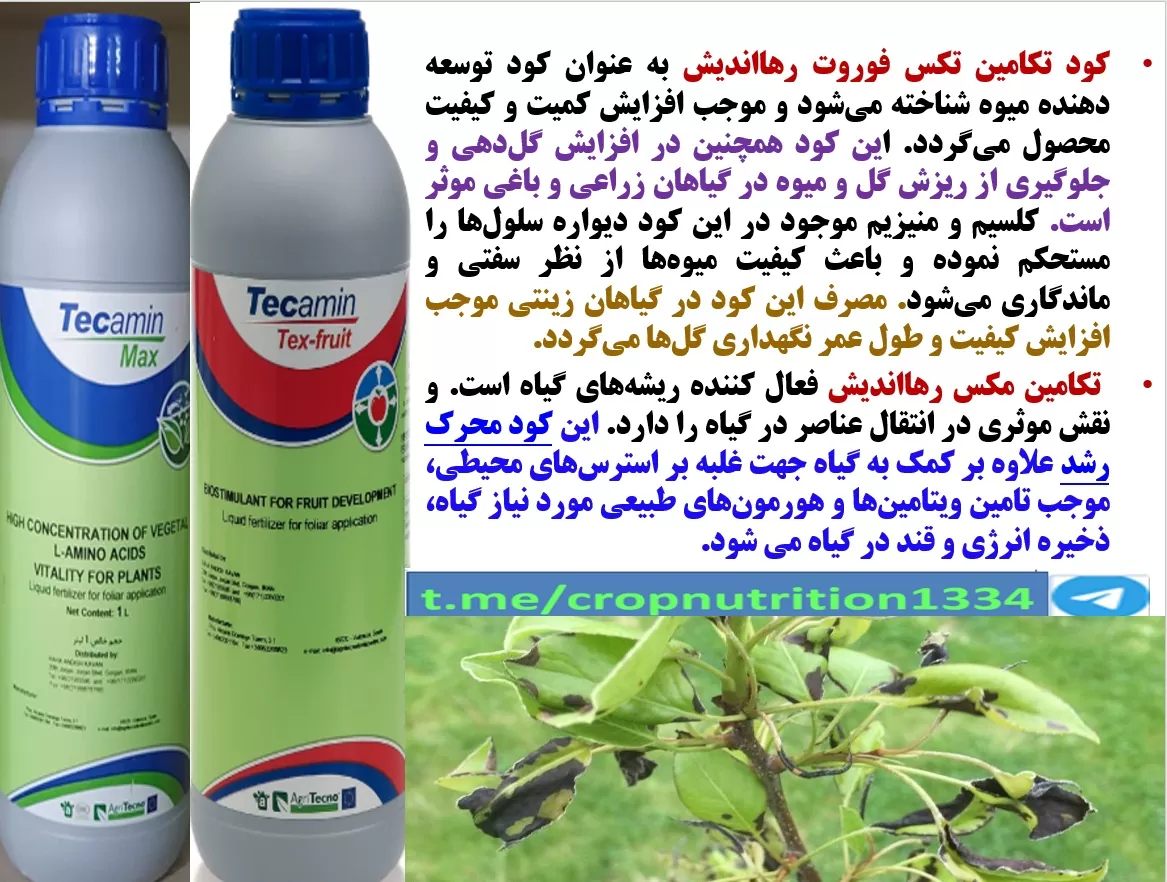 کاهش موثر سرمازدگی در درختان میوه با تکامین مکس و تکامین تکس – فروت رهااندیش – قسمت سوم