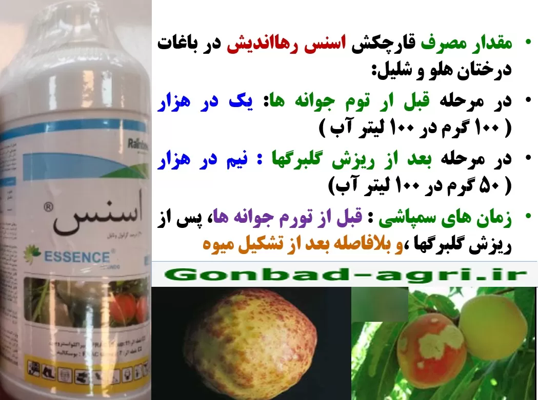 کنترل بیماری های درختان هلو و شلیل با قارچکش اسنس رهااندیش – قسمت دوم