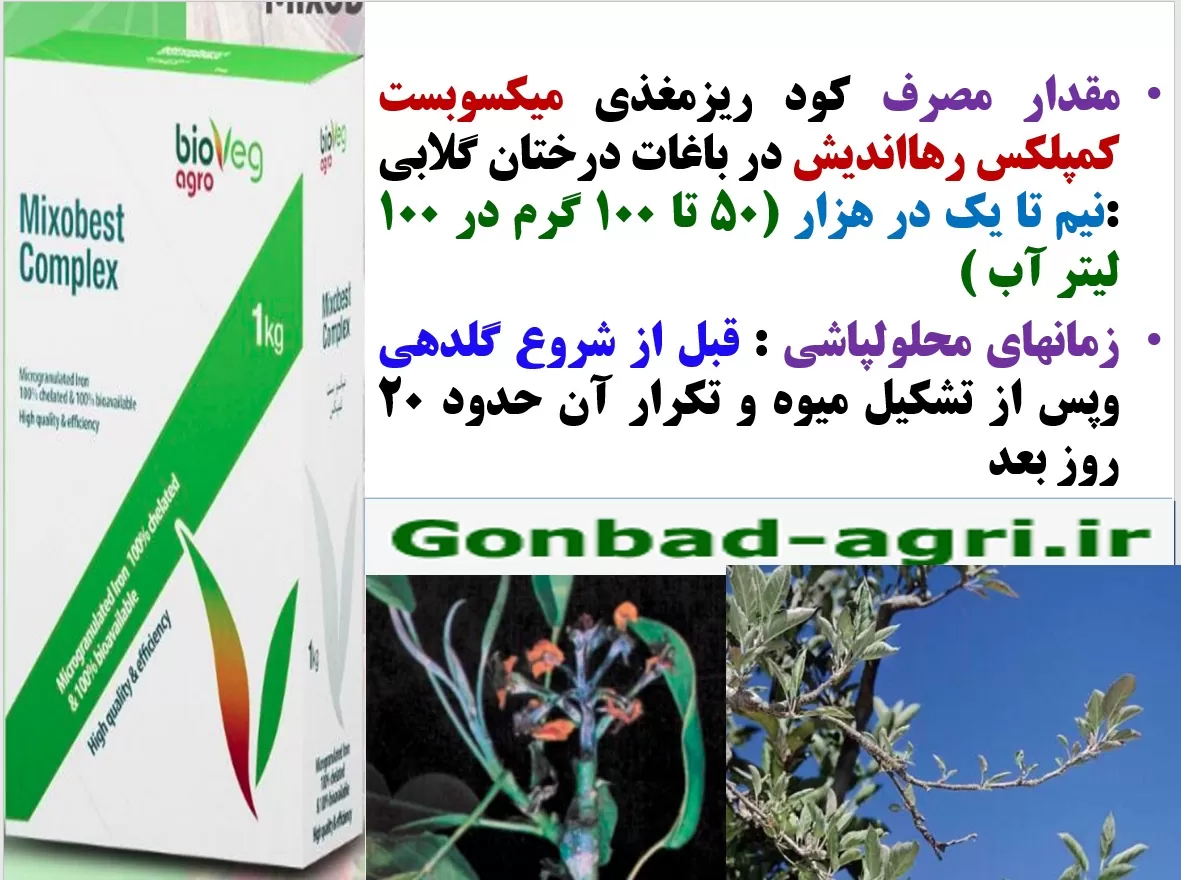 کود ریزمغذی میکسوبست کمپلکس رهااندیش برای تقویت میوه دهی درختان گلابی – قسمت دوم