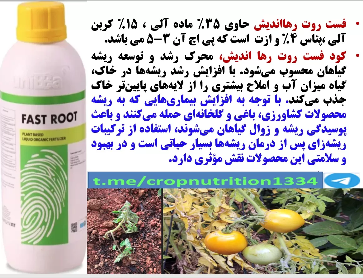 کود ریزمغذی میکسوبست کمپلکس رهااندیش برای تقویت میوه دهی درختان گلابی – قسمت سوم