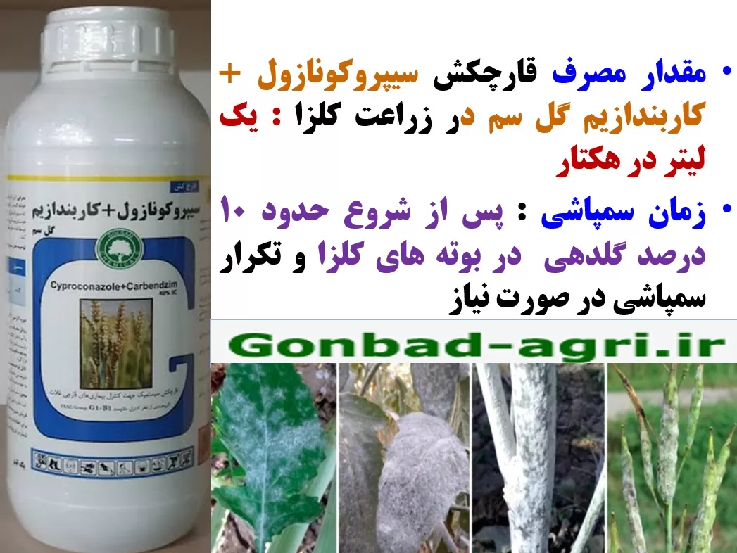 کنترل بیماری های کلزا با قارچکش سیپروکونازول+ کاربندازیم گل سم – قسمت دوم