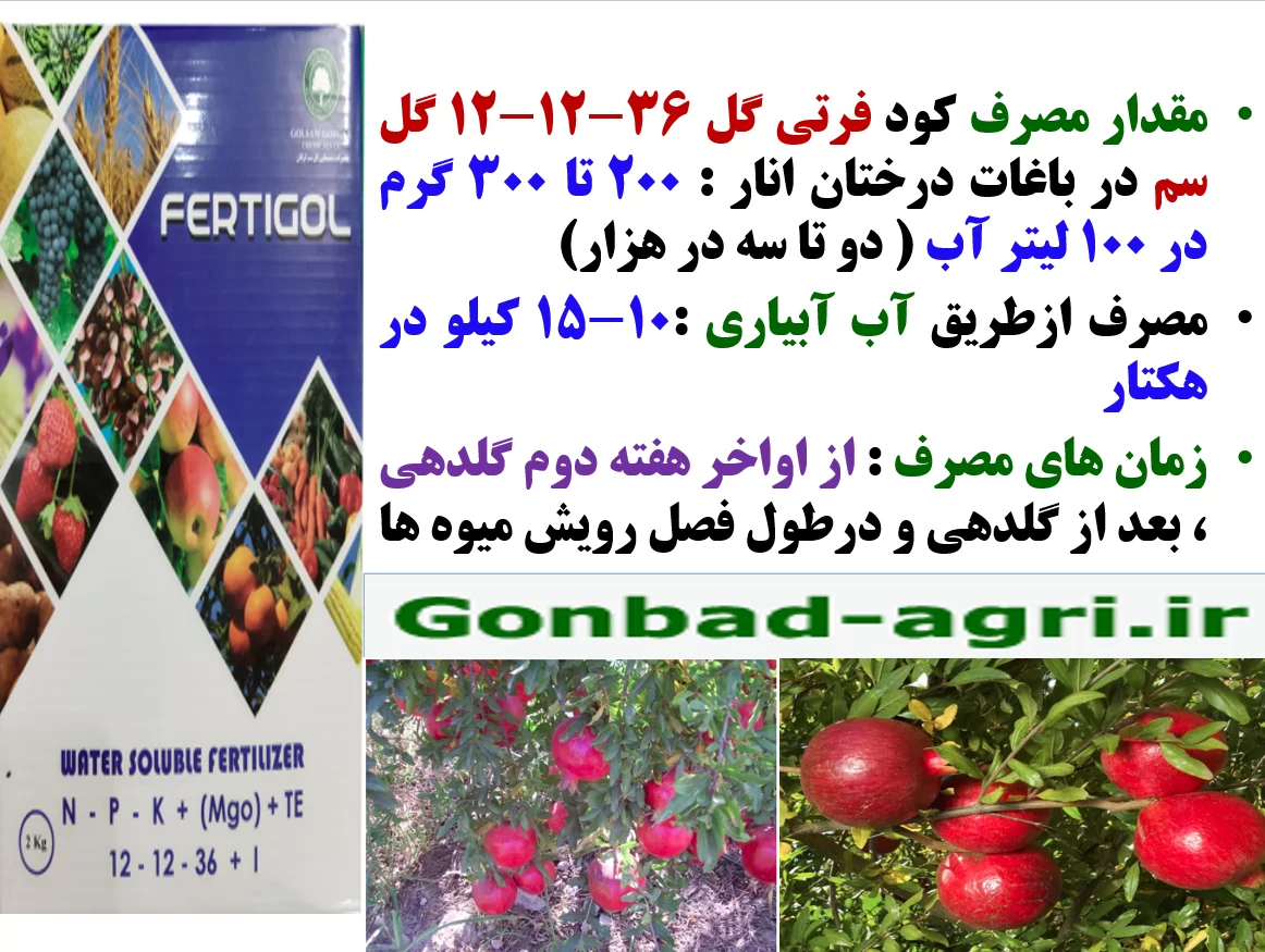 افزایش تولید و کیفیت میوه درختان انار با کود فرتی گل – گل سم – قسمت دوم