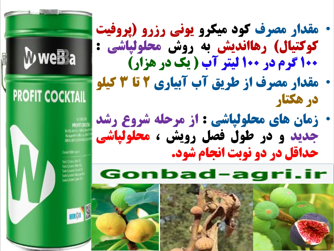 کود ریزمغذی یونی رزرو رهااندیش برای افزایش میوه دهی و کیفیت میوه انجیر – قسمت دوم