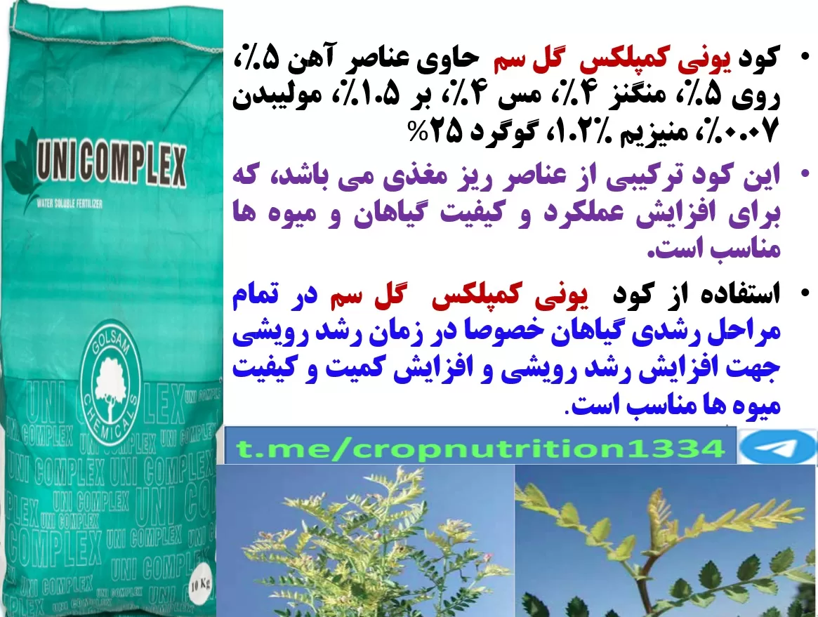 افزایش تولید دانه در نخود با کود یونی کمپلکس گل سم – قسمت سوم