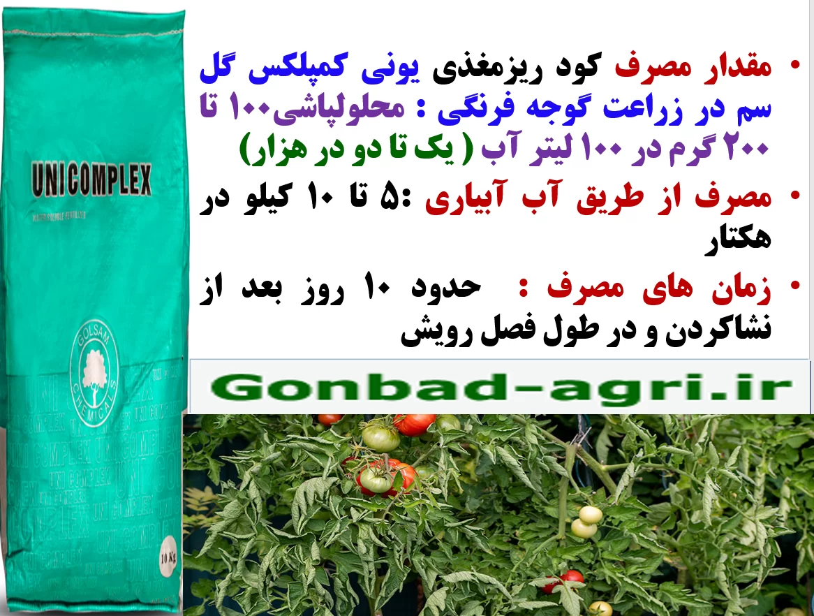 اهمیت کاربرد کود یونی کمپلکس گل سم در زراعت گوجه فرنگی – قسمت دوم