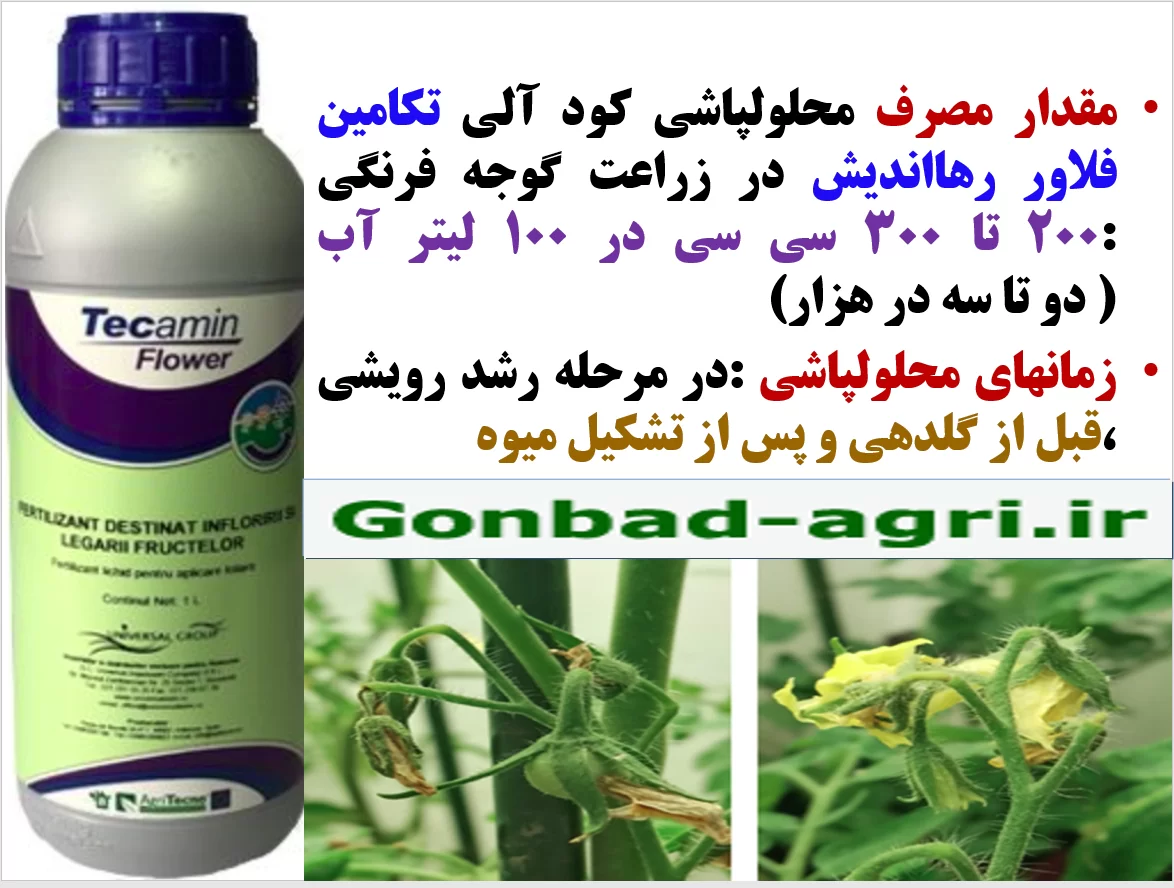 کاربرد کود تکامین فلوور رهااندیش برای افزایش توان بوته های گوجه فرنگی – قسمت دوم