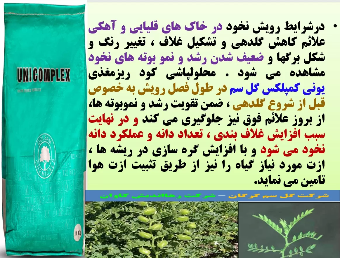 افزایش تولید دانه در نخود با کود یونی کمپلکس گل سم – قسمت اول