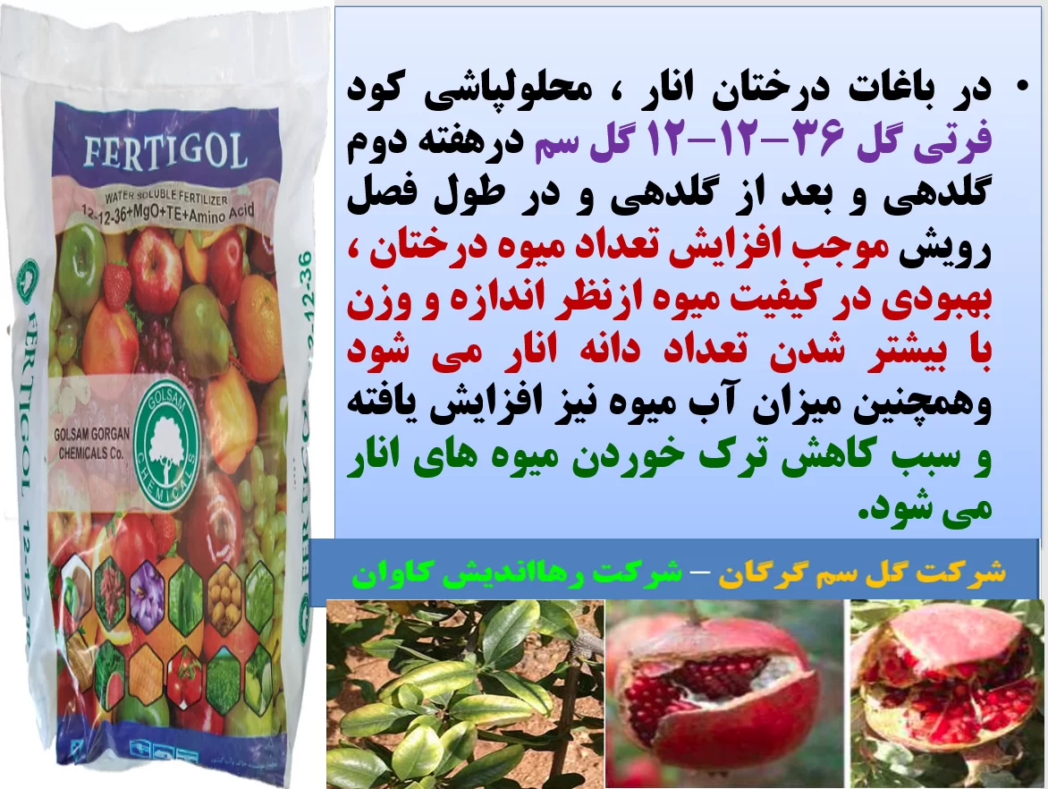 افزایش تولید و کیفیت میوه درختان انار با کود فرتی گل – گل سم – قسمت اول