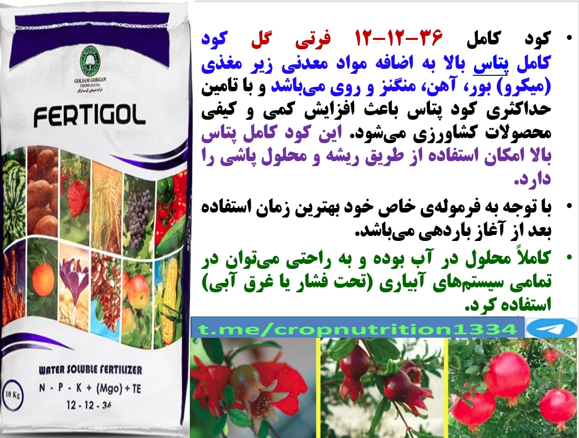 افزایش تولید و کیفیت میوه درختان انار با کود فرتی گل – گل سم – قسمت سوم