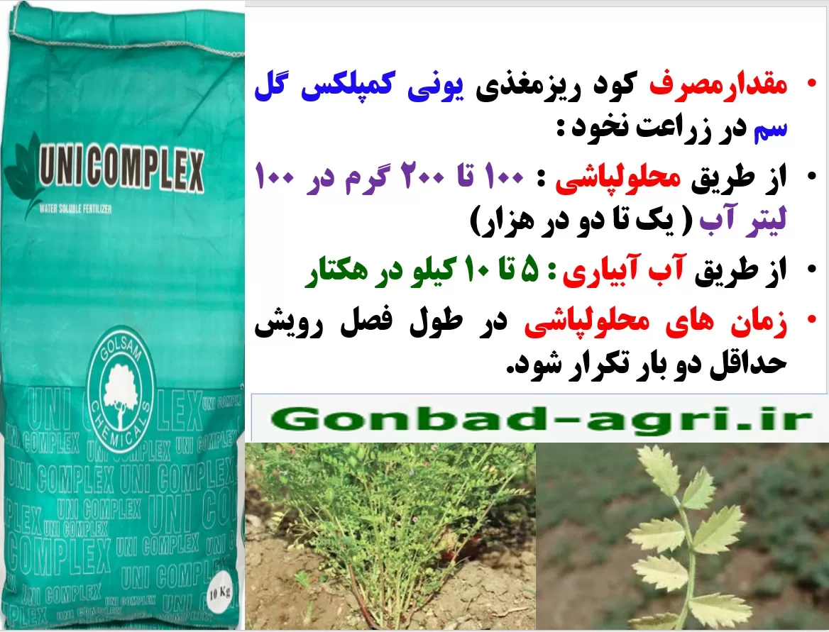 افزایش تولید دانه در نخود با کود یونی کمپلکس گل سم – قسمت دوم