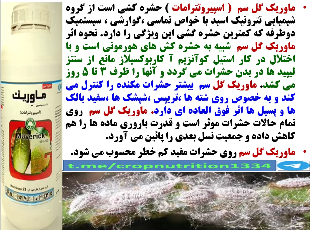 کنترل افات مکنده درختان پسته به خصوص پسیل با حشره کش ماوریک گل سم – قسمت سوم