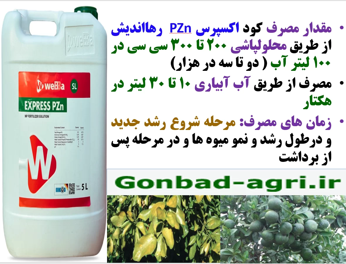 کود اکسپرس pzn رهااندیش در افزایش توان درختان مرکبات در تولید میوه – قسمت دوم