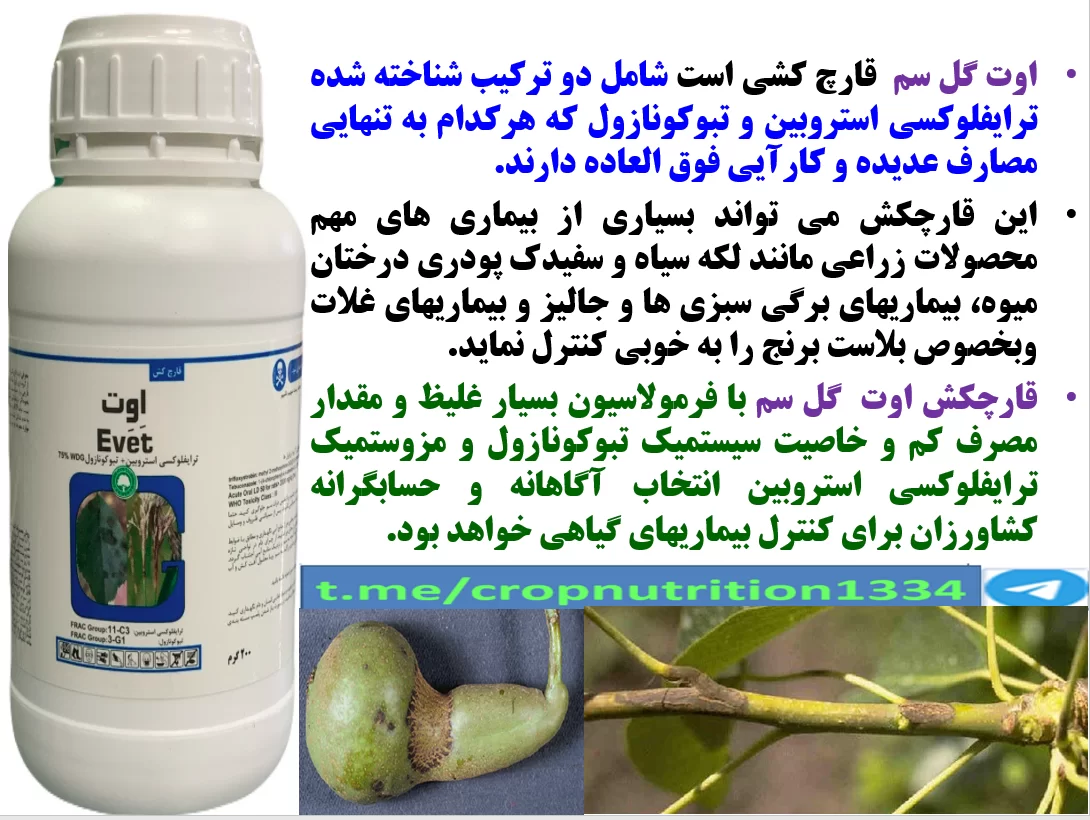 کنترل بیماری های درختان میوه سیب و گلابی با قارچکش اوت گل سم – قسمت سوم