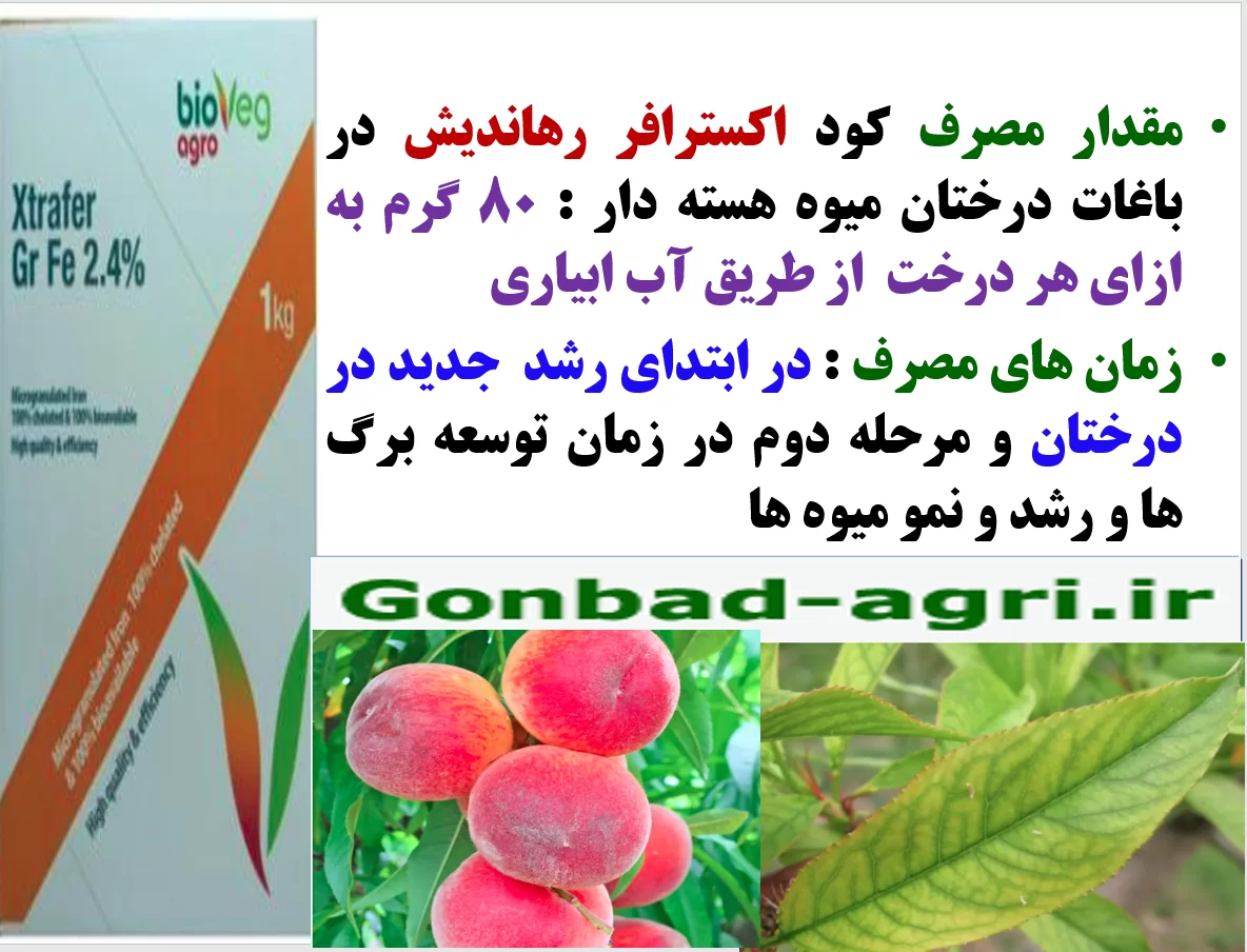 افزایش میوه دهی و کیفیت میوه درختان میوه هسته دار با کود اکسترافر رهااندیش – قسمت دوم