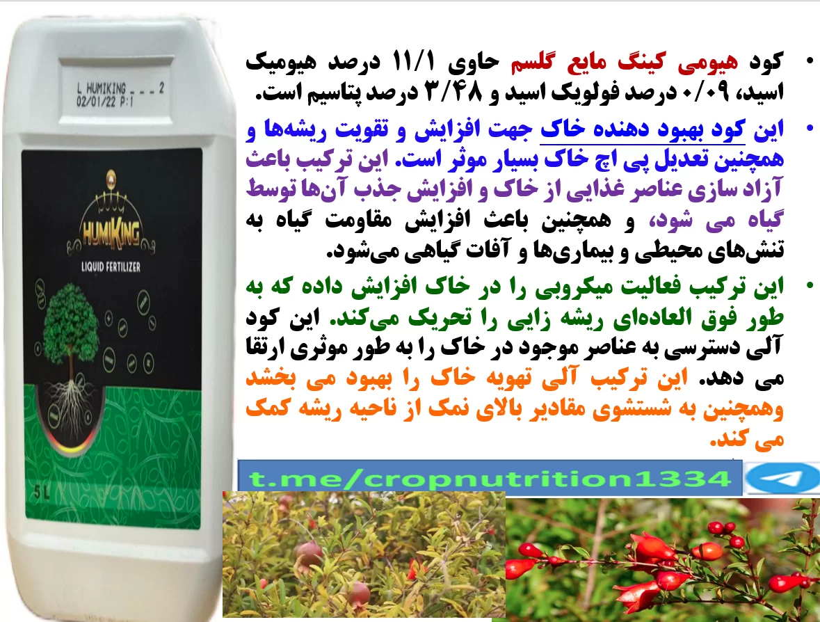 تاثیر کود آلی هیومی کینگ در گل سم در افزایش تولید میوه انار و کیفیت آن- قسمت سوم