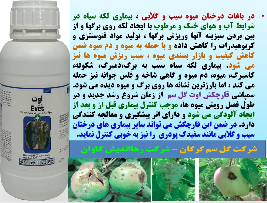 کنترل بیماری های درختان میوه سیب و گلابی با قارچکش اوت گل سم – قسمت اول
