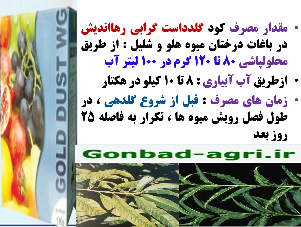 کود گلدداست رهااندیش در افزایش تولید میوه و کیفیت میوه درختان هلو و شلیل – قسمت دوم