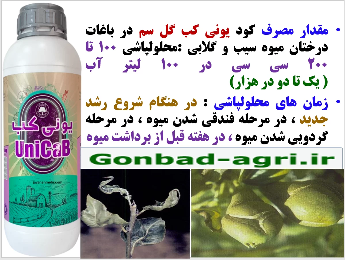 بهبودی در کیفیت میوه های سیب و گلابی با کود یونی کب گل سم – قسمت دوم