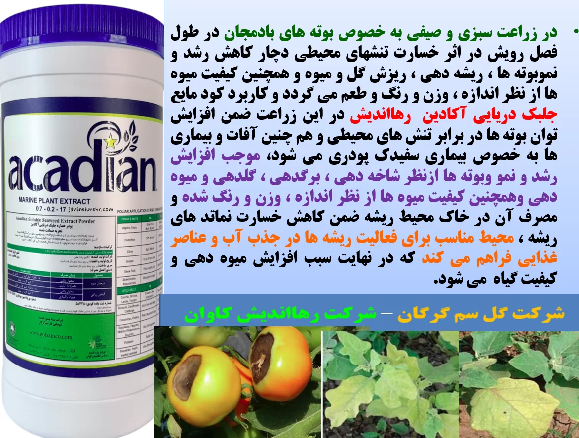 تاثیر کود جلبک دریایی اکادین رهااندیش در افزایش تولید سبزی و صیفی – قسمت اول