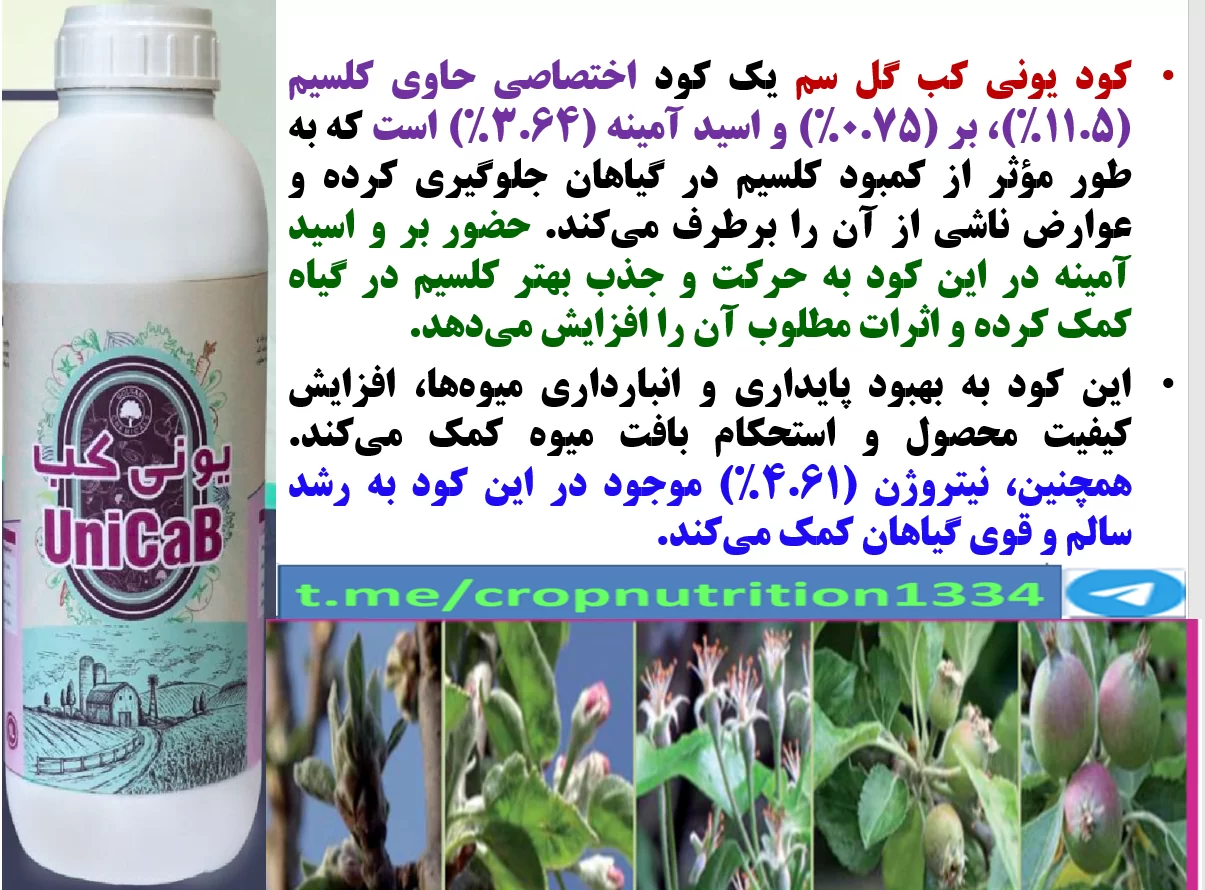 بهبودی در کیفیت میوه های سیب و گلابی با کود یونی کب گل سم – قسمت سوم