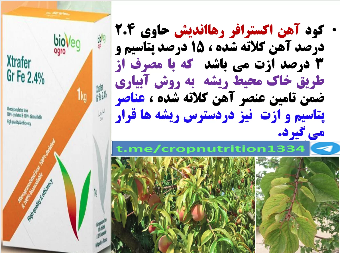 افزایش میوه دهی و کیفیت میوه درختان میوه هسته دار با کود اکسترافر رهااندیش – قسمت سوم