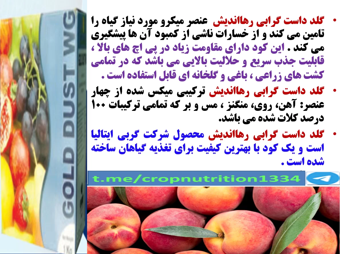 کود گلدداست رهااندیش در افزایش تولید میوه و کیفیت میوه درختان هلو و شلیل – قسمت سوم