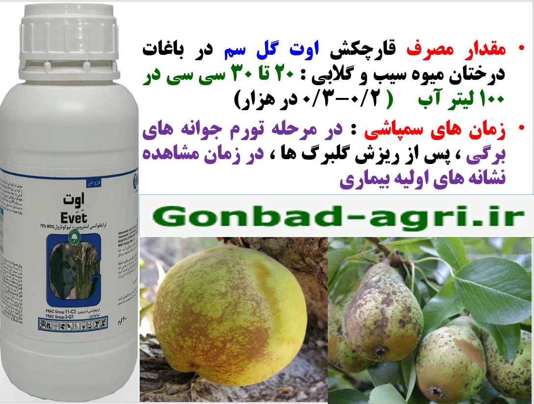 کنترل بیماری های درختان میوه سیب و گلابی با قارچکش اوت گل سم – قسمت دوم